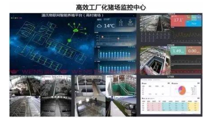 智能化养殖设备:开启农业现代化新纪元